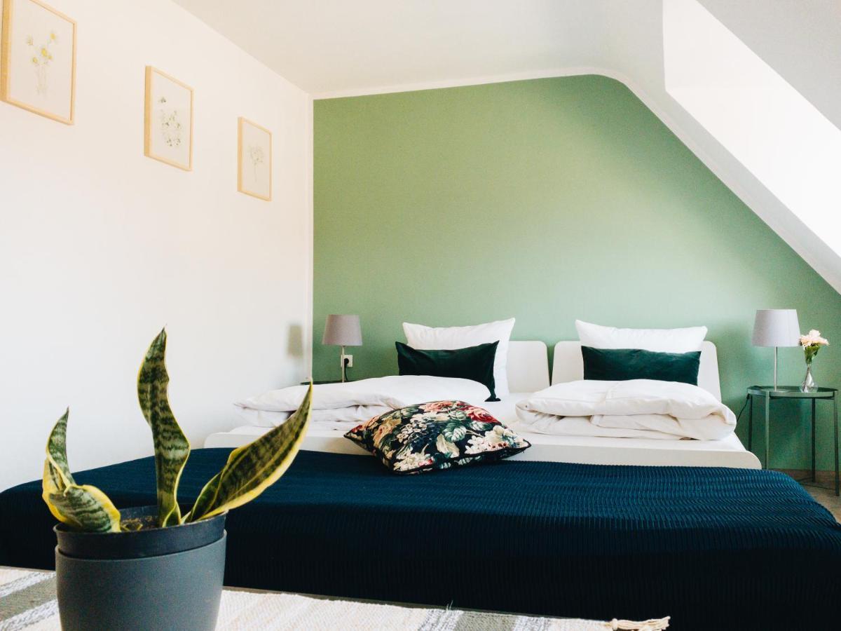 Apollo Apartment